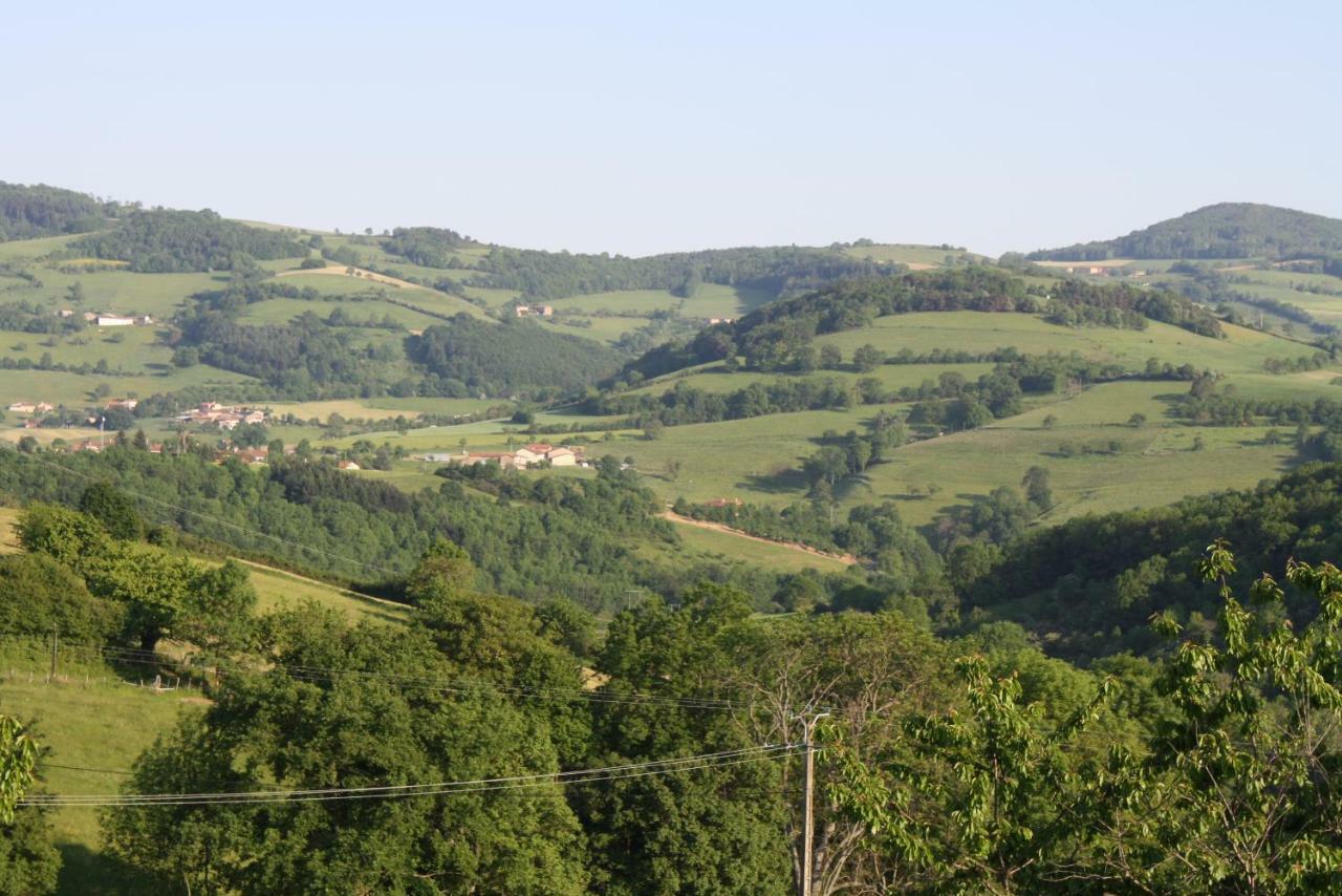 Le Clos Du Jubin Tarare Esterno foto
